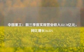 中国重工：前三季度实现营业收入352.70亿元，同比增长16.35%