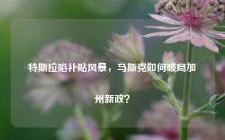 特斯拉陷补贴风暴，马斯克如何破局加州新政？