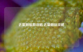 去襄阳旅游攻略,去襄阳玩攻略