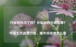 行业到拐点了吗？补贴利好分歧在哪？中国七大消费行业，境外投资者怎么看？