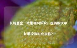 长城基金：政策暖风频吹，医药板块中长期投资时点来临？