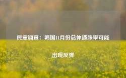 民意调查：韩国11月份总体通胀率可能出现反弹