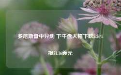 多尼斯盘中异动 下午盘大幅下跌5.26%报51.16美元