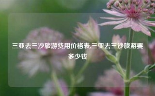 三亚去三沙旅游费用价格表,三亚去三沙旅游要多少钱