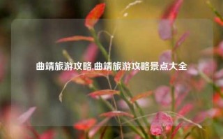 曲靖旅游攻略,曲靖旅游攻略景点大全