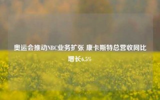 奥运会推动NBC业务扩张 康卡斯特总营收同比增长6.5%