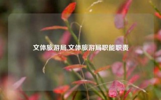 文体旅游局,文体旅游局职能职责