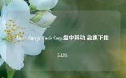 Clean Energy Fuels Corp.盘中异动 急速下挫5.13%