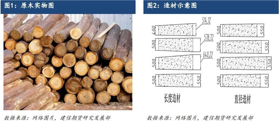 原木期货上市系列专题一：原木基础知识及产业链格局-第2张图片-旅游攻略网