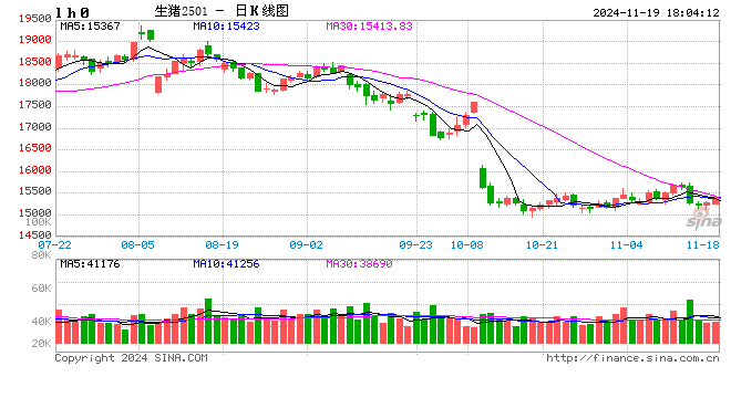 每日猪讯11.19-第2张图片-旅游攻略网