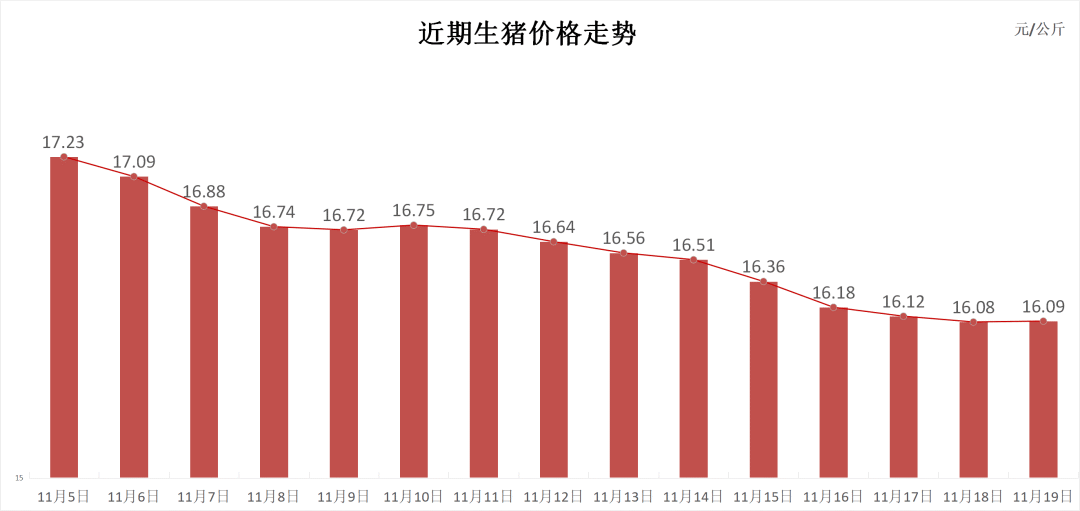 每日猪讯11.19-第3张图片-旅游攻略网