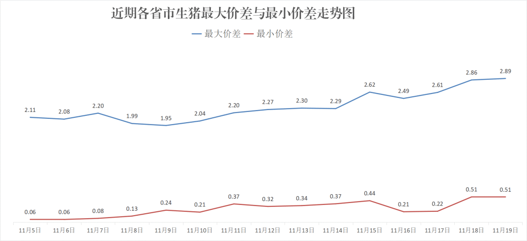 每日猪讯11.19-第8张图片-旅游攻略网