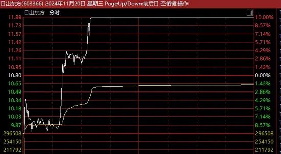 13天11板、12连板牛股，最新发声！-第2张图片-旅游攻略网