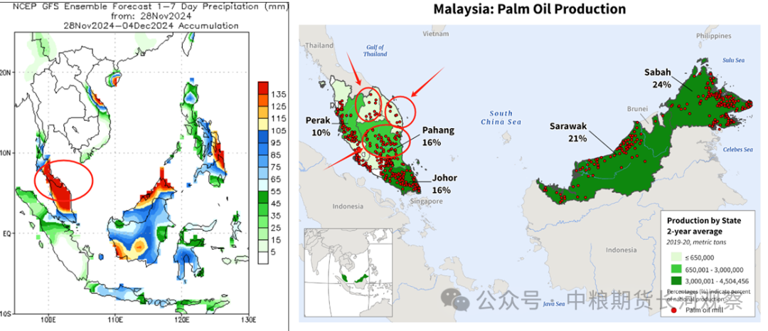 马来洪水担忧，棕榈油强劲反弹-第4张图片-旅游攻略网