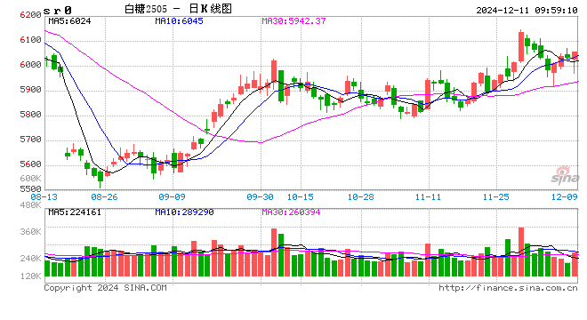 光大期货：12月11日软商品日报-第2张图片-旅游攻略网