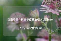 正泰电器：前三季度营业收入达到464.09亿元，同比增长8.89%-第1张图片-旅游攻略网