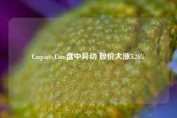 Carparts.Com盘中异动 股价大涨5.26%-第1张图片-旅游攻略网