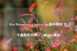 West Pharmaceutical Services, Inc.盘中异动 下午盘股价大跌5.17%报320.64美元-第1张图片-旅游攻略网