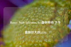 Barnes  Noble Education, Inc盘中异动 下午盘股价大跌5.13%-第1张图片-旅游攻略网