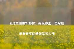 12月难降息？野村：关税冲击，最早明年夏天实际通胀就将大涨-第1张图片-旅游攻略网