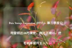 Data Storage Corporation (DTST)：第三季度公司营收达580万美元，同比下降3%，但毛利率提升至43.2%-第1张图片-旅游攻略网