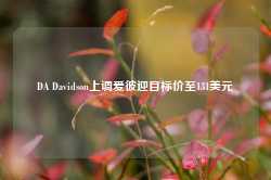 DA Davidson上调爱彼迎目标价至131美元-第1张图片-旅游攻略网