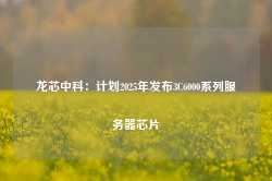 龙芯中科：计划2025年发布3C6000系列服务器芯片-第1张图片-旅游攻略网