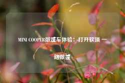 MINI COOPER敞篷车体验：打开软顶 一路敞篷-第1张图片-旅游攻略网