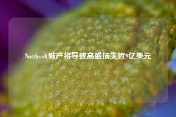 Northvolt破产将导致高盛损失近9亿美元-第1张图片-旅游攻略网