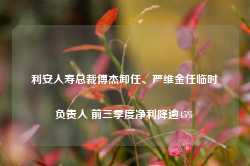 利安人寿总裁傅杰卸任、严维金任临时负责人 前三季度净利降逾45%-第1张图片-旅游攻略网