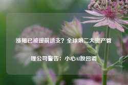 涨幅已被提前透支？全球第二大资产管理公司警告：小心AI股回调-第1张图片-旅游攻略网