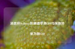 消息称Stellantis拟聘请苹果CFO马埃斯特里为新CEO-第1张图片-旅游攻略网