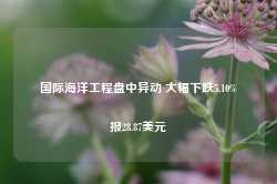 国际海洋工程盘中异动 大幅下跌5.10%报28.87美元-第1张图片-旅游攻略网