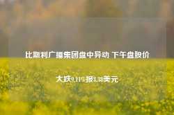 比斯利广播集团盘中异动 下午盘股价大跌9.11%报8.38美元-第1张图片-旅游攻略网