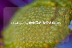 Schrodinger, Inc.盘中异动 股价大跌5.08%-第1张图片-旅游攻略网