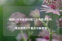 美国11月失业率时隔三个月再次上升，本月降息25个基点可能增加-第1张图片-旅游攻略网