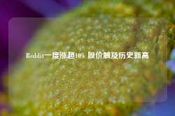 Reddit一度涨超10% 股价触及历史新高-第1张图片-旅游攻略网