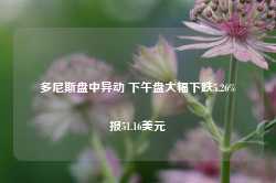 多尼斯盘中异动 下午盘大幅下跌5.26%报51.16美元-第1张图片-旅游攻略网