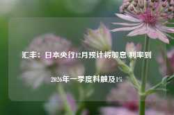 汇丰：日本央行12月预计将加息 利率到2026年一季度料触及1%-第1张图片-旅游攻略网