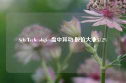 Syla Technologies盘中异动 股价大涨5.12%-第1张图片-旅游攻略网