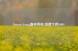 Emeren Group盘中异动 急速下跌5.08%-第1张图片-旅游攻略网